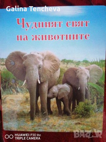 Чудният свят на животните, снимка 1 - Енциклопедии, справочници - 27756144