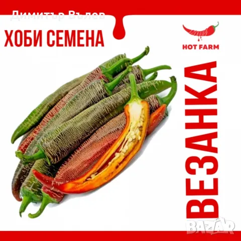 Семе , семена на чушки люти Везанка разсад
Съдържат витамини С, А, К и В6, калий, манган, желязо