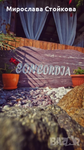 Еко Бунгало Конкордия, снимка 15 - Каравани под наем - 43942619