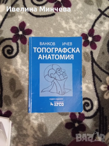 Топографска анатомия