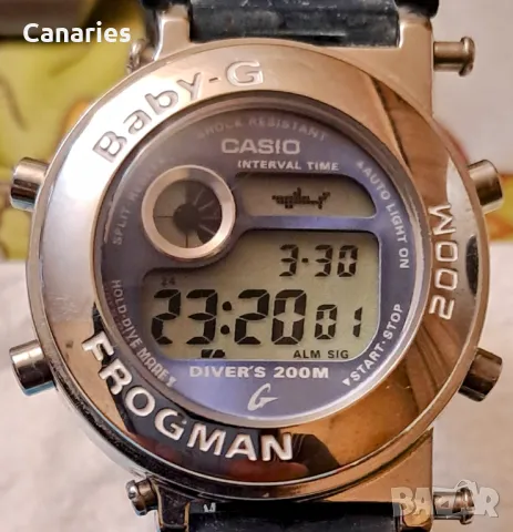 Casio Frogman 