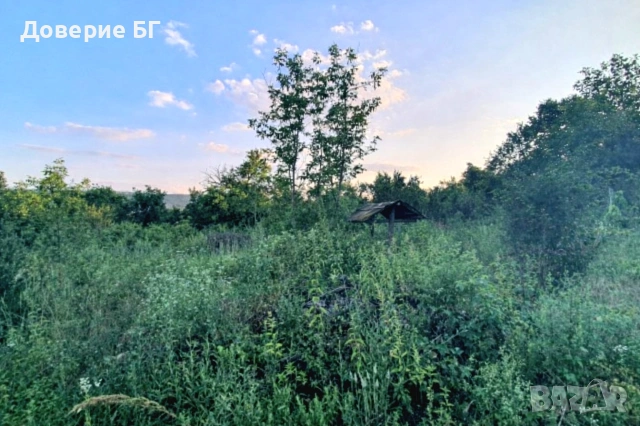 Панорамен парцел с характер и готов потенциал – 1 265 кв.м, снимка 5 - Парцели - 53191658