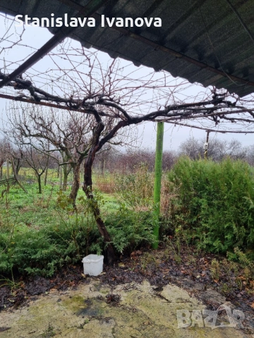 Къща, Курткая, Нови лозя , снимка 10 - Къщи - 53038102