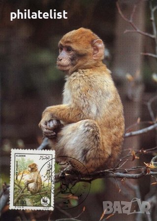 Алжир 1988 - 4 броя Карти Максимум - WWF, снимка 2 - Филателия - 38842648