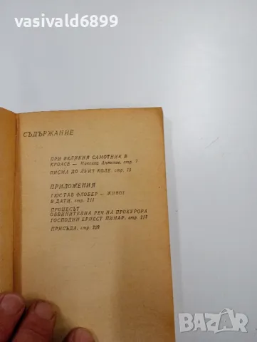 Гюстав Флобер - Писма до Луиз Коле , снимка 5 - Художествена литература - 49125176