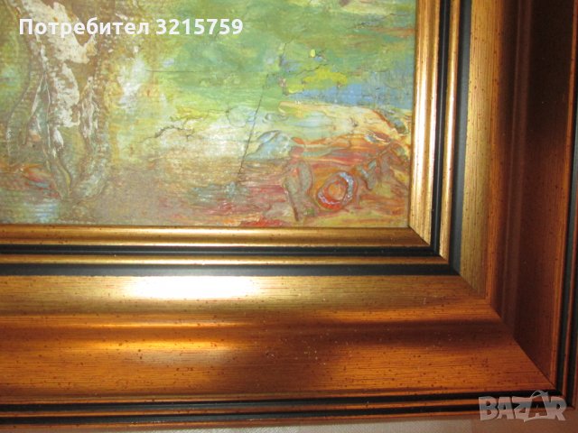 Картина масло,платно , подписана, 60х50см, снимка 3 - Картини - 35501794