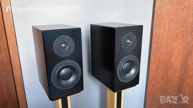 X-project D2.1ex - Swans D2.1, снимка 5 - Тонколони - 53582412