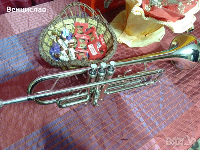 В тромпет , снимка 6 - Духови инструменти - 53074885