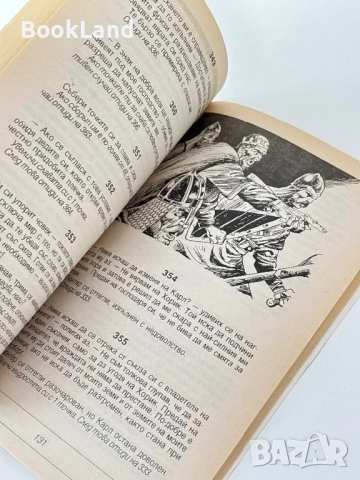 Нашествието на викингите, Майкъл Майндкрайм / книга-игра, снимка 7 - Други - 51590963