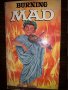 Burning Mad- William M. Gaines, снимка 1