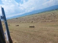 Продавам бали слама , снимка 11