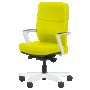 Ергономичен стол ROBIN - горчица, снимка 1 - Столове - 40570124