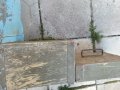 Дървено сандъче , снимка 3