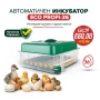 Автоматичен инкубатор ECO PROFI-70 (DC 12V / AC 220V), снимка 2