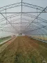 ОРАНЖЕРИИ - Българско производство, ”Тунелен тип” - 6м ширина, снимка 4