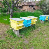 Пчелни кошери с прашецоуловители-50 броя, снимка 3 - За пчели - 40484954