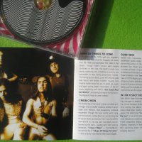  Slade - In for a Penny: Raves & Faves CD, снимка 4 - CD дискове - 37716943
