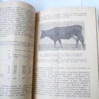 Кръстосването в животновъдството Проблеми на хетерозиса, снимка 4 - Специализирана литература - 34956031