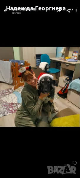 Хотел за котки ,кучета, зайци, гризачи и птици, снимка 1