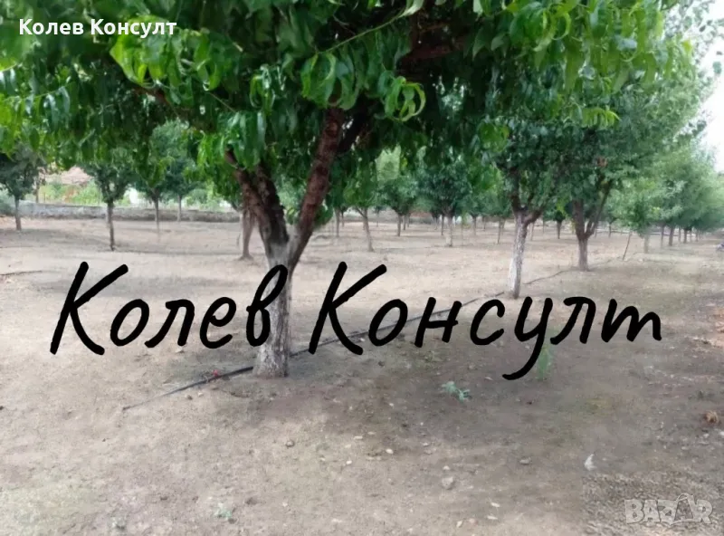 Продавам парцел УПИ в село Градина,община Първомай , снимка 1