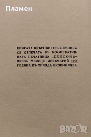 Брегове Бленика, снимка 5 - Антикварни и старинни предмети - 40012539