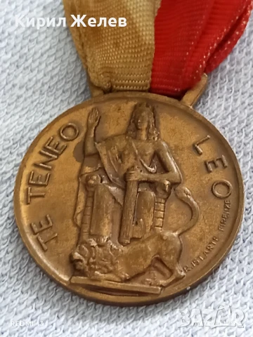 Рядък медал ИТАЛИАНСКА ДИВИЗИЯ ГАВИНАНА за КОЛЕКЦИЯ 60561, снимка 8 - Антикварни и старинни предмети - 51050185