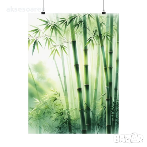 Качествени Семена от бамбук Bambusa arundinacea бързо растящи бамбукови растения за украса на дома, снимка 18 - Сортови семена и луковици - 50483666