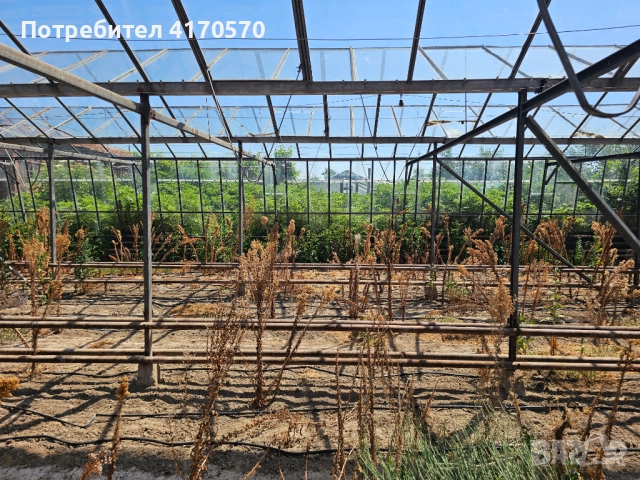 Продава се стъклена оранжерия, снимка 10 - Оранжерии - 51654998