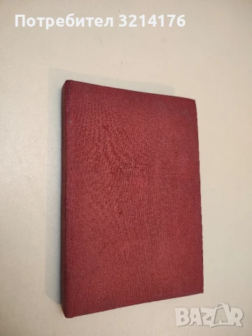 Бащице наш Амур - Николай Задорнов, снимка 2 - Художествена литература - 50974460