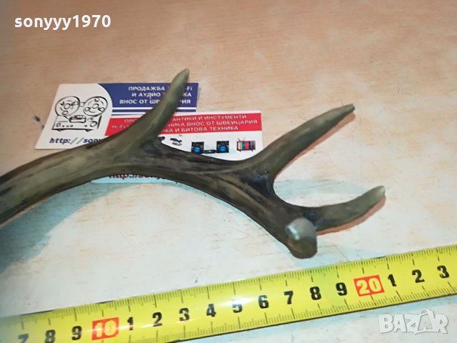 рога комплект 2бр 2005212045, снимка 14 - Антикварни и старинни предмети - 32947574