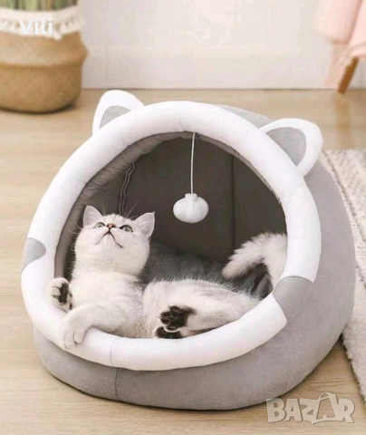 Отново в наличност меки легла за домашни любимци 