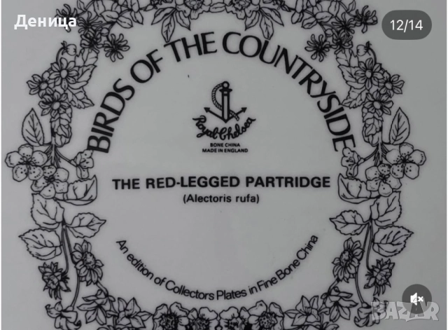 Английски чинии от серията”Птици на провинцията“. фин костен порцелан.  „Червенокраката яребица“ , снимка 5 - Чинии - 52645977