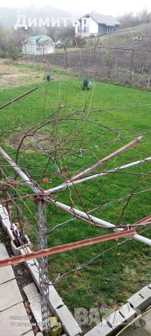 Недвижим имот, снимка 15 - Къщи - 52799360