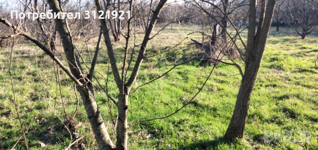 Земеделска земя за продажба в района на с.Беласица , снимка 13 - Земеделска земя - 39577960