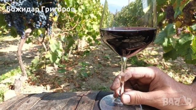 Предлагам вино мерло и каберне 5лв литара 