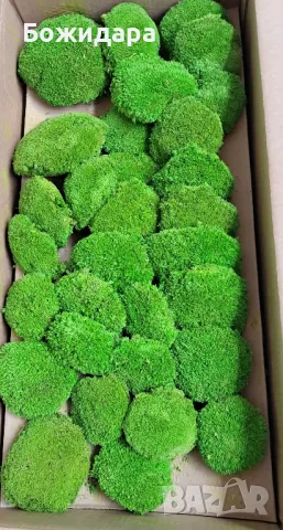 ! Промоционални Цени Скандинавски мъх, снимка 3 - Декорация за дома - 42785244