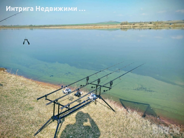 Shimano Tribal TX-5 13ft Intensity, 3.5 lb