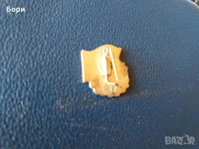 ГДР пионерски училищен награден знак., снимка 5 - Други ценни предмети - 27885726