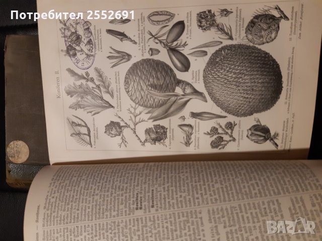 Енциклопедия , снимка 8 - Енциклопедии, справочници - 28146201