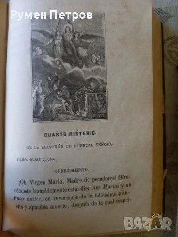 Библия, Доминикански орден, 1886г., снимка 8 - Колекции - 51786852
