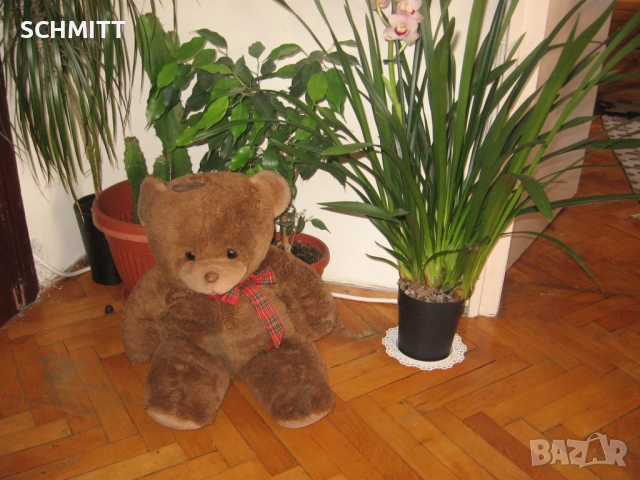 ГОЛЯМ ПЛЮШЕН МЕЧОК, снимка 4 - Плюшени играчки - 51988071