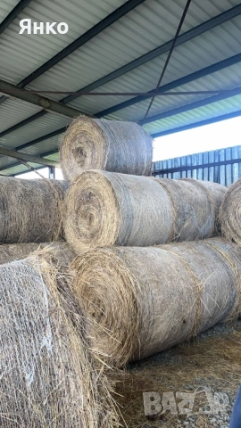 Бали слама и сено рулонни, снимка 4 - За селскостопански - 52337096