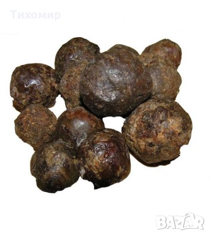 Пчелен Прополис