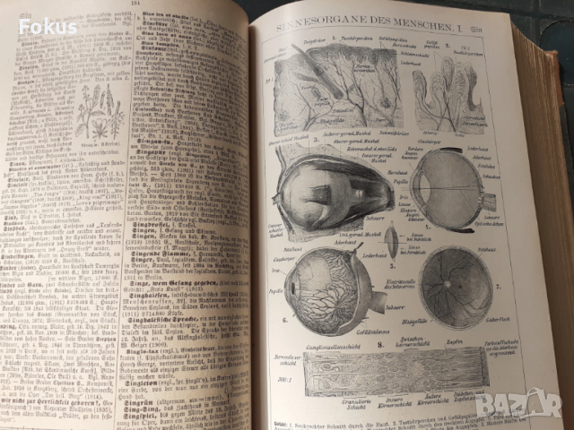 ЕНЦИКЛОПЕДИЯ BROCKHAUS, снимка 7 - Антикварни и старинни предмети - 53486946