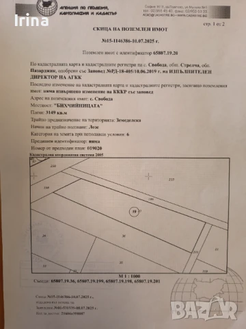 Продавам земеделска земя -лозе 3 дка, снимка 1