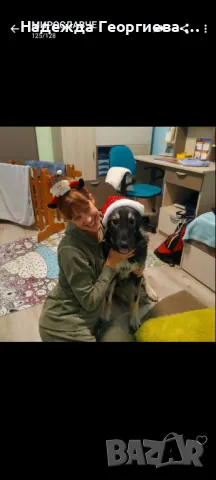 Хотел за котки ,кучета, зайци, гризачи и птици