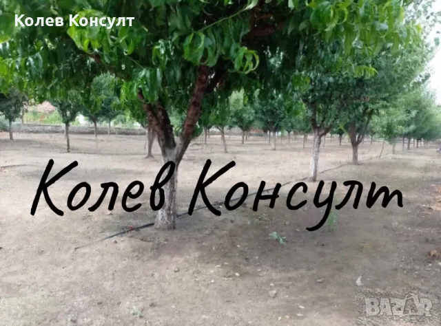 Продавам парцел УПИ в село Градина,община Първомай , снимка 1