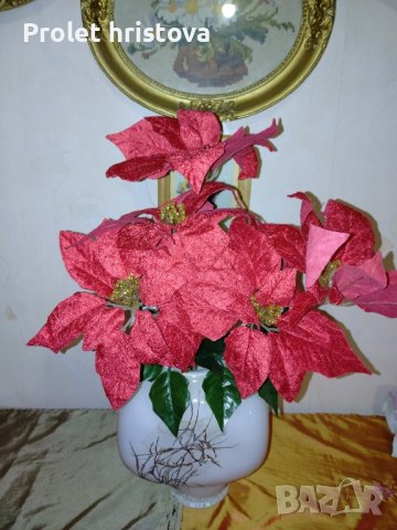 Коледно цвете. Височина 58 см, снимка 2 - Други - 43132482