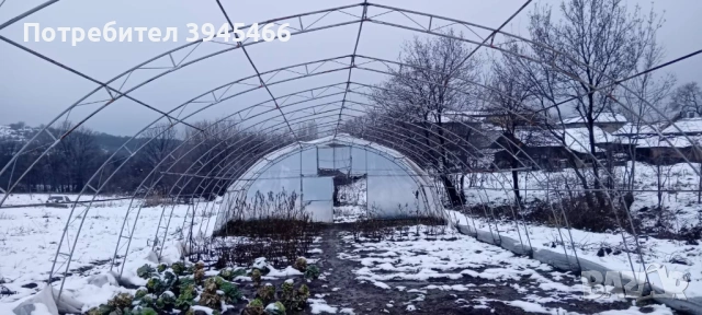Oranjeriya, снимка 3 - Оранжерии - 53444531