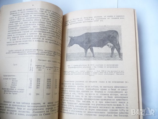 Кръстосването в животновъдството Проблеми на хетерозиса, снимка 4 - Специализирана литература - 34956031